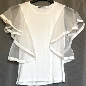Endless Rose top with organza sleeves
